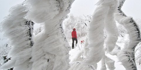 Βόλτα στην παγωμένη Γερμανία