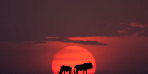 Η εικόνα της ημέρας: Η δύση του ηλίου στην Κένυα 