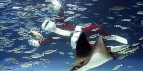 Υποβρύχιος Αϊ-Βασίλης... 