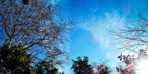 Μια μικρή σταγόνα άνοιξης, μέσα στο καταχείμωνο -Φωτογραφία: EUROKINISSI/ ΓΙΩΡΓΟΣ ΚΟΝΤΑΡΙΝΗΣ 