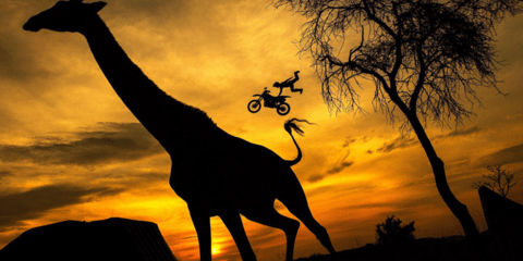 Καμηλοπαρδάλεις και ιπτάμενες μοτοσυκλέτες: Απίστευτη λήψη από την προθέρμανση του Μελέρο