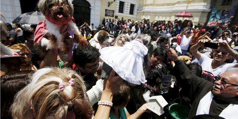 Οχι μόνο άνθρωποι -Κατοικίδια περιμένουν να λάβουν την... ευλογία! 