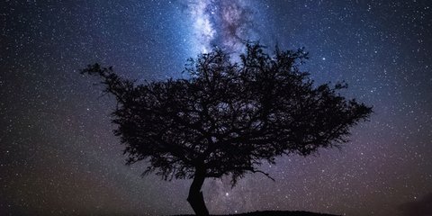 Η Κένυα τη νύχτα... 