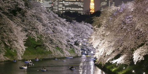«Ταξιδεύοντας» με τις βάρκες έξω από το Αυτοκρατορικό Παλάτι του Τόκιο