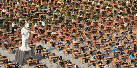 Μαθήματα στο ύπαιθρο... 