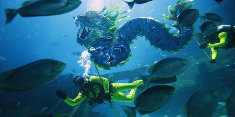 Δύτες-περφόρμερς.