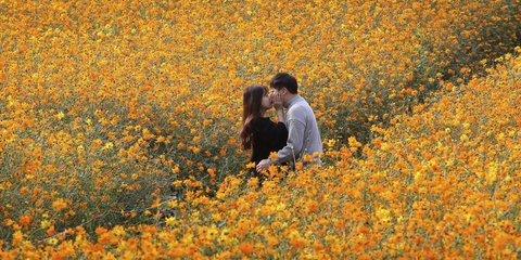 Ο έρωτας και τα λουλούδια ανθίζουν στη Νότια Κορέα - Φωτογραφία: AP Photo/Ahn Young-joon