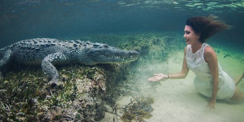 Το τολμηρό κορίτσι και ο κροκόδειλος... 