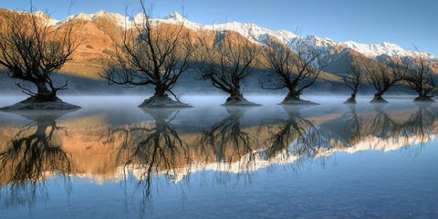 Δέντρα επιπλέουν σε... λίμνη