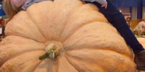 Ετήσια έκθεση με τα μεγαλύτερα λαχανικά του κόσμου [εικόνες]