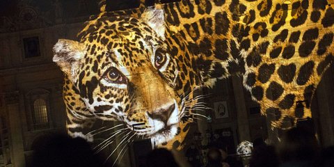 Βατικανό: Μια λεοπάρδαλη στη βασιλική του Αγίου Πέτρου... 