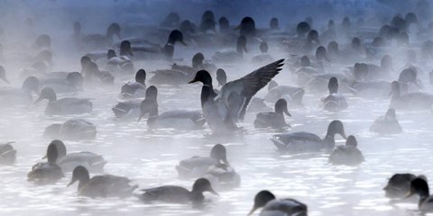 Στο Μινσκ της Λευκορωσίας η θερμοκρασία κατρακύλησε στους -15 βαθμούς Κελσίου