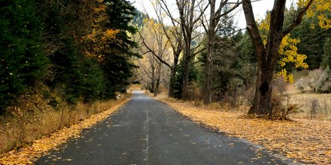 Φθινόπωρο στο Μαίναλο -Φωτογραφία: ΚΟΝΤΑΡΙΝΗΣ ΓΙΩΡΓΟΣ EUROKINISSI