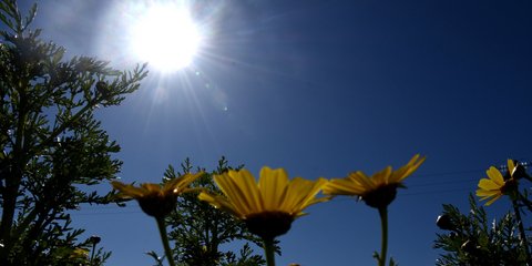 Αρχισε δειλά-δειλά να... μυρίζει άνοιξη