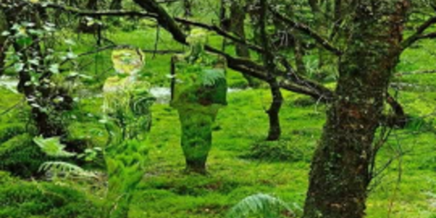 Έργα τέχνης από καθρέφτες - Δείτε τις πιο εντυπωσιακές οφθαλμαπάτες [εικόνες]