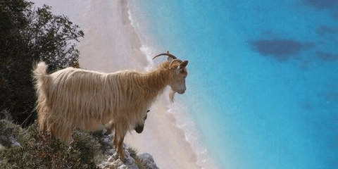 Θέα στον Μύρτο -Από τον χρήστη Alexioc Leon