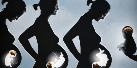 Βουτιά στον εγκέφαλο 