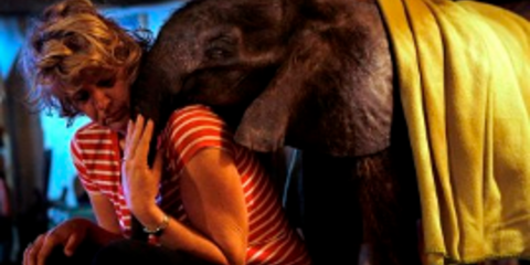 Γυναίκα υιοθέτησε ορφανό ελεφαντάκι και κοιμούνται μαζί [εικόνες]