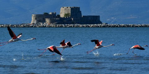 Η μαγεία της φύσης το Ναύπλιο