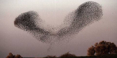 Μια τεράστια καρδιά στον ουρανό