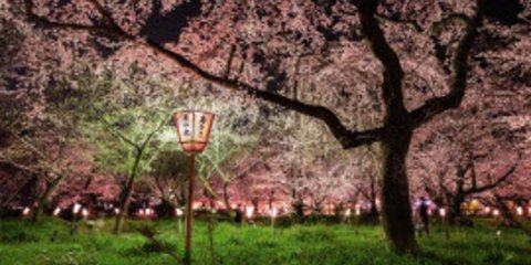 Οι ομορφότεροι κήποι του κόσμου κάτω από το φως του φεγγαριού [εικόνες] 