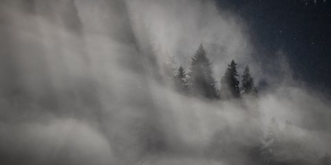 «Αγγελοπουλικό» τοπίο στην ομίχλη, κάπου στην Ελλάδα -Φωτογραφία: EUROKINISSI/ΘΑΝΑΣΗΣ ΚΑΛΛΙΑΡΑΣ