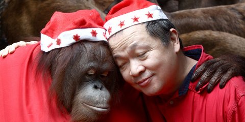 Στο χριστουγεννιάτικο πάρτι του Ζωολογικού Κήπου Μάλαμπον των Φιλιππίνων ντύθηκαν Αϊ-Βασίληδες και οι ουρακοτάγκοι... [εικόνα]