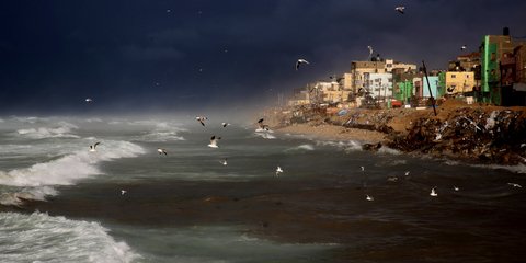   Γλάροι πετούν στη Μεσόγειο, στην ακτή της πόλης της Γάζας στην Παλαιστίνη -Φωτογραφία: AP Photo/Adel Hana