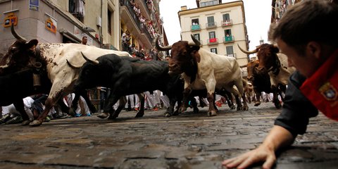 Τρόμος στην Παμπλόνα, βλέποντας τους ταύρους να πλησιάζουν -Φωτογραφία: AP Photo/Alvaro Barrientos