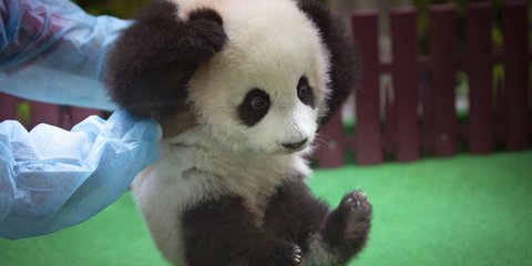 Επίσημη πρώτη για το πάντα στην Κουάλα Λουμπούρ