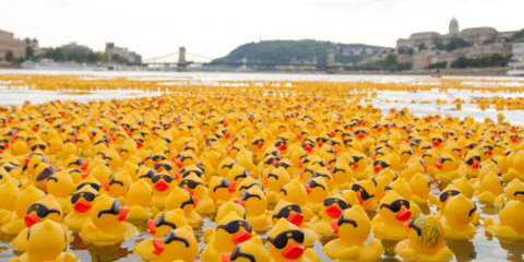 52.000 πλαστικά παπάκια «βούτηξαν» στο Δούναβη 