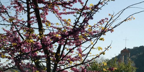 Μεγάλη Παρασκευή στην Κέρκυρα.... 