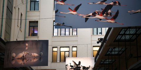 Εκθεση φωτογραφίας στο Citylink 