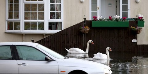 Κύκνοι βγήκαν στη... στεριά στην Αγγλία η οποία τις τελευταίες ημέρες πλήττεται από σφοδρό κύμα κακοκαιρίας. Ποταμοί υπερχείλισαν, δρόμοι μετατράπηκαν σε ποτάμια, περιουσίες καταστράφηκαν και συνολικά οκτώ άτομα από τα Χριστούγεννα έχουν χάσει τη ζωή τους