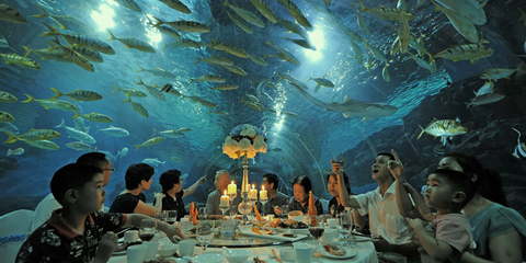 Τουρίστες απολαμβάνουν ένα μοναδικό δείπνο. Βρίσκονται στο ενυδρείο της πόλης Τιανγίν, στην Κίνα. Εκεί όπου έχουν την ευκαιρία να καθίσουν στο τραπέζι νιώθοντας σαν να βρίσκονται στο βυθό. 