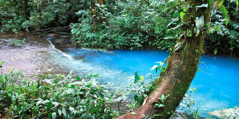 Στην Κόστα Ρίκα, το ποτάμι  Rio Celeste γίνεται το καλοκαίρι εκτυφλωτικό τιρκουάζ, εξαιτίας του γειτονικού ηφαιστείου