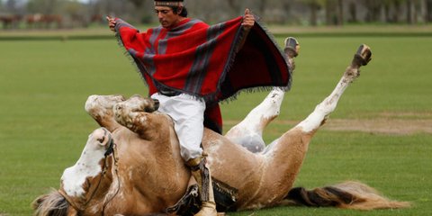Ο γητευτής των αλόγων, Μάρτιν Τάτα, επιδεικνύει την ινδιάνικη τεχνική εξημέρωσης. Οπως λέει, με αυτό τον τρόπο αποφεύγεται η βία και δημιουργείται μία αρμονική σχέση ανάμεσα στον άνθρωπο και το άλογο. 
