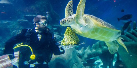 Η εικόνα της ημέρας