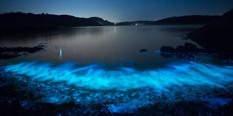 Η εικόνα της ημέρας