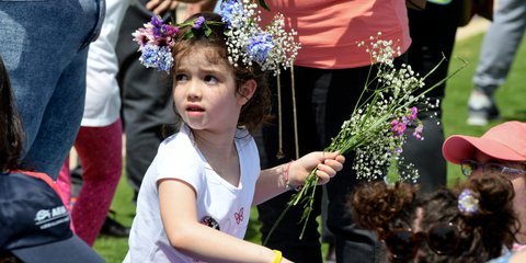 Μια θάλασσα από αγριολούλουδα, στην ελληνική ύπαιθρο -Φωτογραφία: Villa Costa/Intimenews