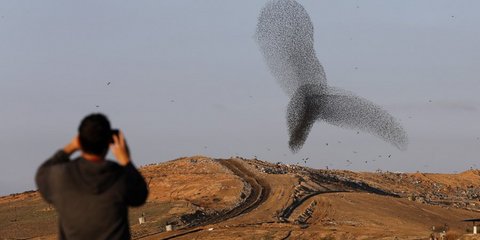 Οταν «ζωγραφίζει» η φύση