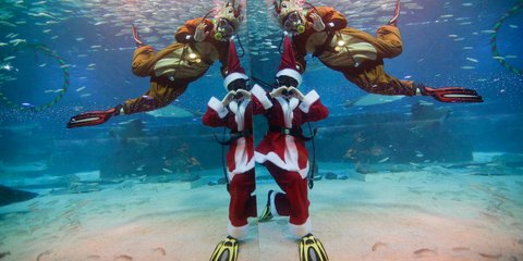 Ενας δύτης ντυμένος Αη Βασίλης σε ενυδρείο της Σεούλ στη Βόρεια Κορέα -Φωτογραφία: AP Photo/Ahn Young-joon)