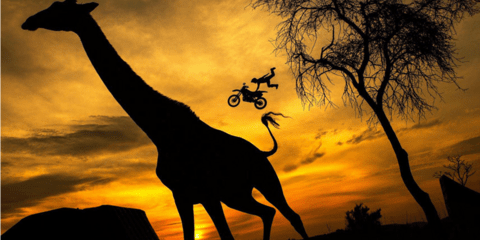 Οταν ο φωτογράφος κάνει το κλικ την πιο κατάλληλη στιγμή