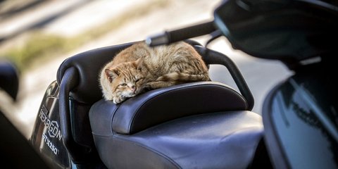 Μεσημεριανά «ραχάτια» στα Τρίκαλα -Φωτογραφία: EUROKINISSI/ΘΑΝΑΣΗΣ ΚΑΛΛΙΑΡΑΣ