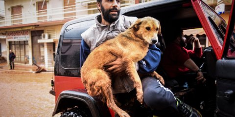 Φοβισμένος, βρεγμένος αλλά σώος