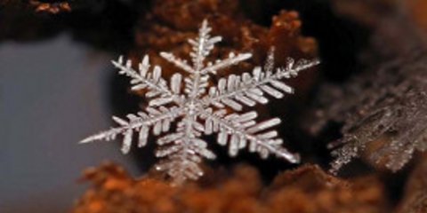 Νιφάδες χιονιού στο μικροσκόπιο - Πώς είναι από κοντά οι παγωμένοι κρύσταλλοι; [εικόνες] 
