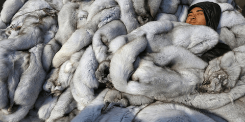 Ενας άντρας κοιμάται κάτω από ένα βουνό κομμάτια γούνας αλεπούς, σε μια αγορά της Κίνας