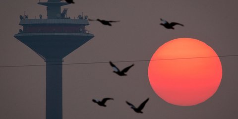 Ομιχλώδες ηλιοβασίλεμα στη Φρανκφούρτη - Φωτογραφία: AP Photo/Michael Probst
