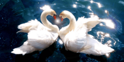 Love is all around: Όταν η φύση ζωγραφίζει καρδούλες [εικόνες] 