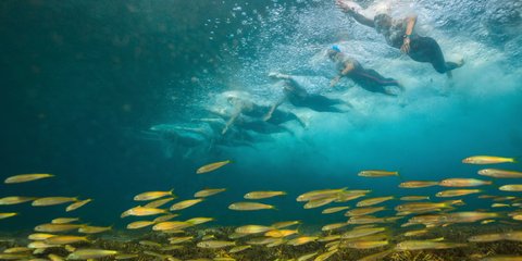  Παγκόσμιο πρωτάθλημα νέων ανοικτής θάλασσας στο Ισραήλ -Θεατές και τα ψάρια! -Φωτογραφία: AP Photo/Gilad Kavalerchik